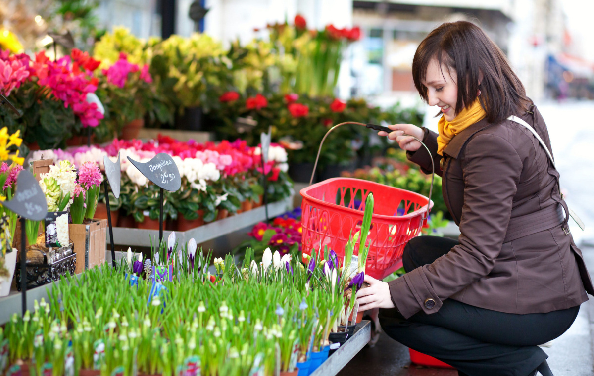 8 Tips on How to Choosing the Best Plants for Your Garden