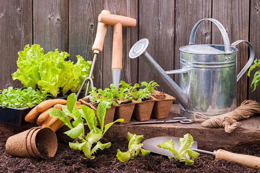 Little-known tips and tricks to make your garden more eco-friendly